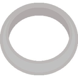 Enchanted silver ring